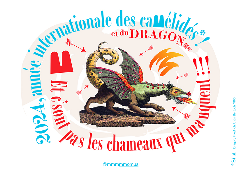 Vœux 2024